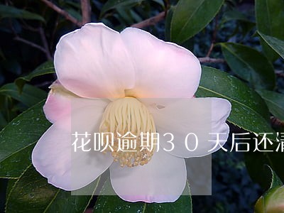 花呗逾期30天后还清后 花呗逾期30天后还清后