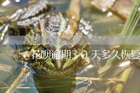 花呗逾期30天多久恢复 花呗逾期30天多久恢复