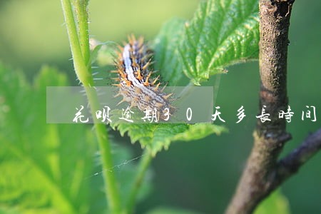 花呗逾期30天多长时间才能用 花呗逾期30天多长时间才能用