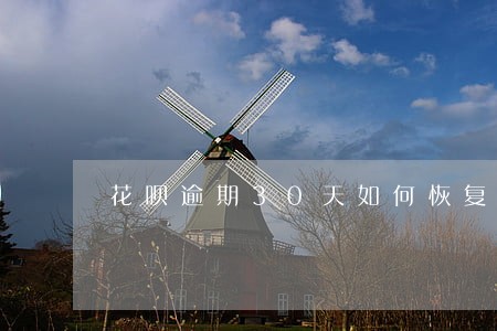 花呗逾期30天如何恢复正常 花呗逾期30天如何恢复正常