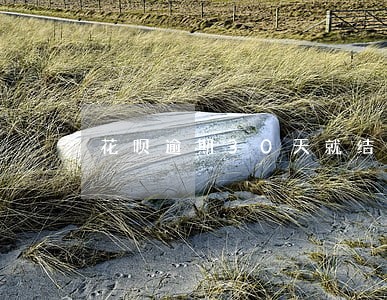 花呗逾期30天就结束分期吗 花呗逾期30天就结束分期吗
