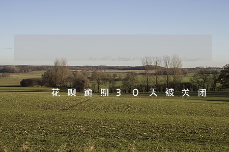 花呗逾期30天被关闭 花呗逾期30天被关闭