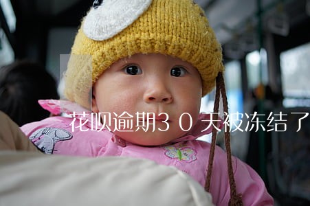 花呗逾期30天被冻结了 花呗逾期30天被冻结了