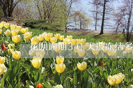 花呗逾期30天被冻结多久 花呗逾期30天被冻结多久