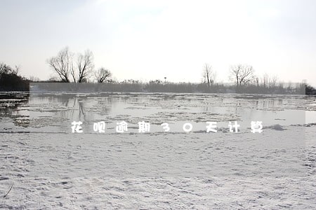 花呗逾期30天计算