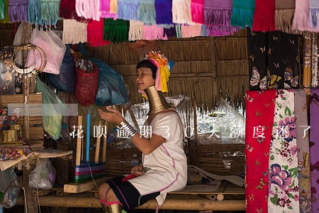 花呗逾期30天额度还了 花呗逾期30天额度还了