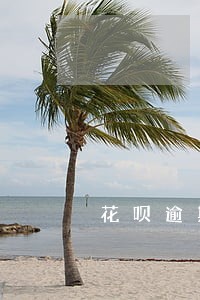 花呗逾期31天会上征信吗 花呗逾期31天会上征信吗
