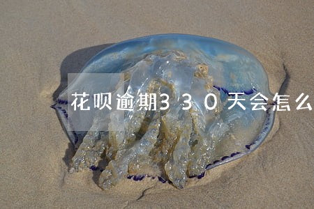 花呗逾期330天会怎么样 花呗逾期330天会怎么样