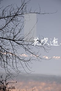 花呗逾期33天后果什么样 花呗逾期33天后果什么样