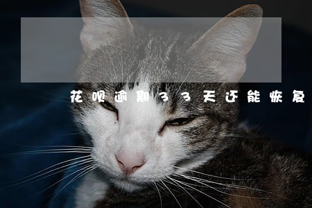 花呗逾期33天还能恢复 花呗逾期33天还能恢复