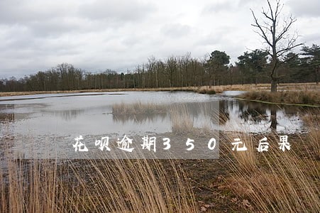花呗逾期350元后果 花呗逾期350元后果