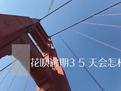 花呗逾期35天会怎样 花呗逾期35天会怎样