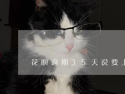 花呗逾期35天说要上门 花呗逾期35天说要上门