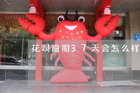 花呗逾期37天会怎么样 花呗逾期37天会怎么样