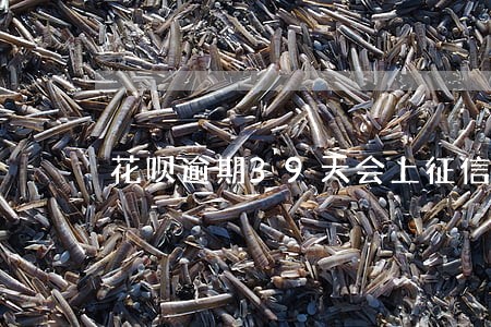 花呗逾期39天会上征信吗