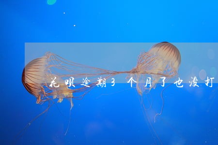 花呗逾期3个月了也没打电话催 花呗逾期3个月了也没打电话催