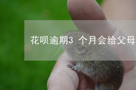 花呗逾期3个月会给父母打电话吗 花呗逾期3个月会给父母打电话吗