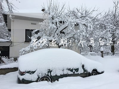 花呗逾期3个月后还清多久能使用 花呗逾期3个月后还清多久能使用