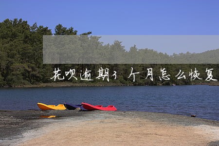 花呗逾期3个月怎么恢复使用 花呗逾期3个月怎么恢复使用