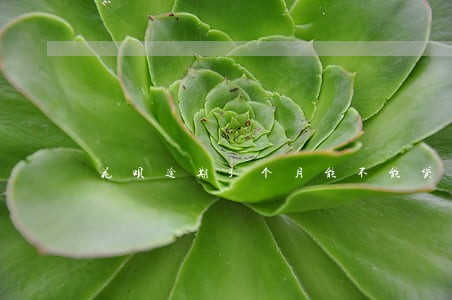 花呗逾期3个月能不能贷款买车