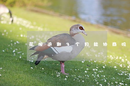 花呗逾期3个月能协商吗 花呗逾期3个月能协商吗