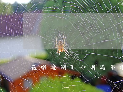 花呗逾期3个月还不接电话怎么办 花呗逾期3个月还不接电话怎么办