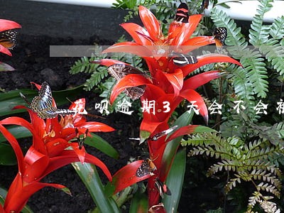 花呗逾期3天会不会被降额度