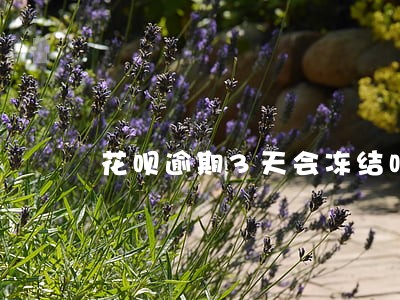 花呗逾期3天会冻结吗 花呗逾期3天会冻结吗
