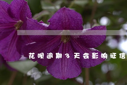 花呗逾期3天会影响征信吗 花呗逾期3天会影响征信吗