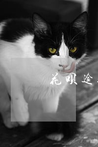 花呗逾期3天会影响芝麻信用吗 花呗逾期3天会影响芝麻信用吗