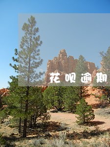 花呗逾期3天会扣分吗 花呗逾期3天会扣分吗