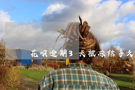 花呗逾期3天被冻结多久才能解冻 花呗逾期3天被冻结多久才能解冻