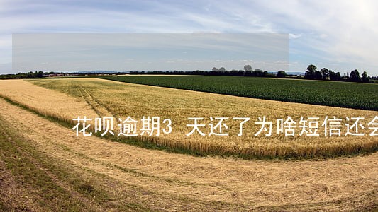 花呗逾期3天还了为啥短信还会发