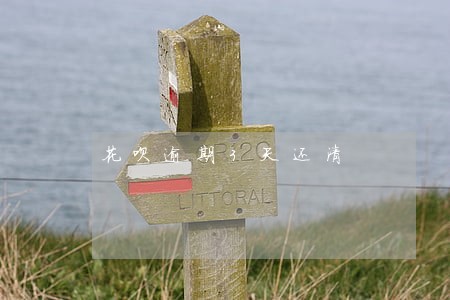花呗逾期3天还清