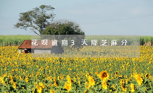 花呗逾期3天降芝麻分 花呗逾期3天降芝麻分