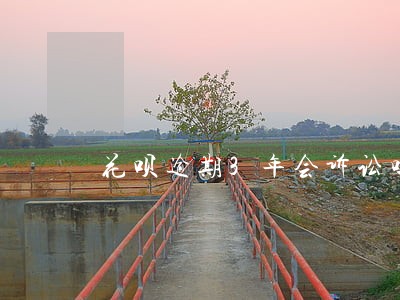 花呗逾期3年会诉讼吗