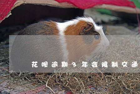花呗逾期3年会限制交通工具