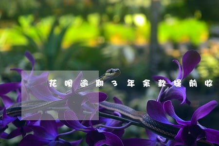 花呗逾期3年余款提前收会上门吗 花呗逾期3年余款提前收会上门吗