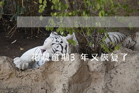 花呗逾期3年又恢复了