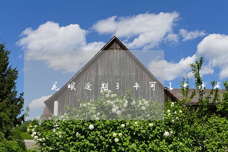 花呗逾期3年可以申请减免罚息吗