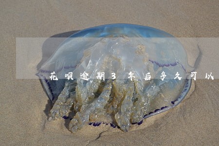 花呗逾期3年后多久可以恢复使用