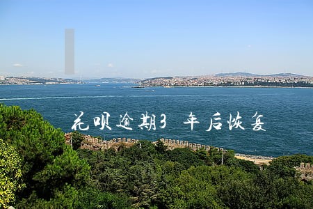 花呗逾期3年后恢复