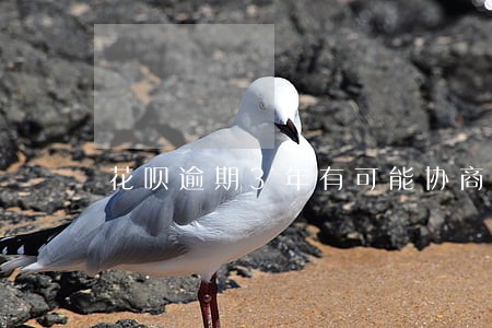 花呗逾期3年有可能协商还本金