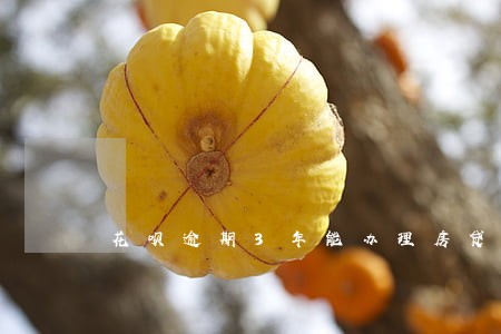 花呗逾期3年能办理房贷吗 花呗逾期3年能办理房贷吗