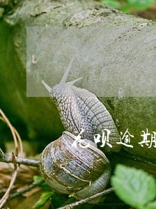 花呗逾期3年还清 花呗逾期3年还清