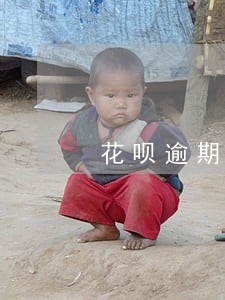 花呗逾期3年还清了 花呗逾期3年还清了