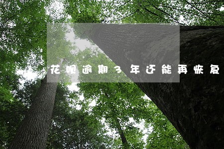 花呗逾期3年还能再恢复吗 花呗逾期3年还能再恢复吗