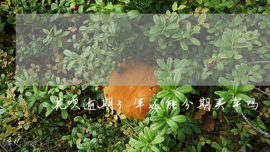 花呗逾期3年还能分期买车吗 花呗逾期3年还能分期买车吗