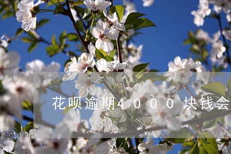 花呗逾期4000块钱会上门吗 花呗逾期4000块钱会上门吗