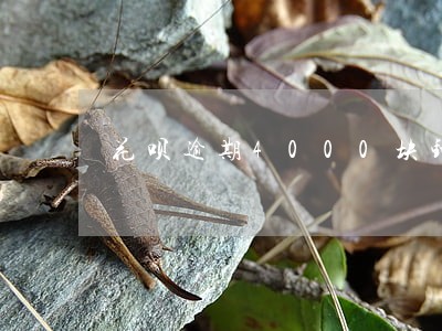 花呗逾期4000块钱利息多少 花呗逾期4000块钱利息多少